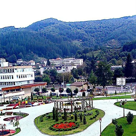 Guest Profirov *