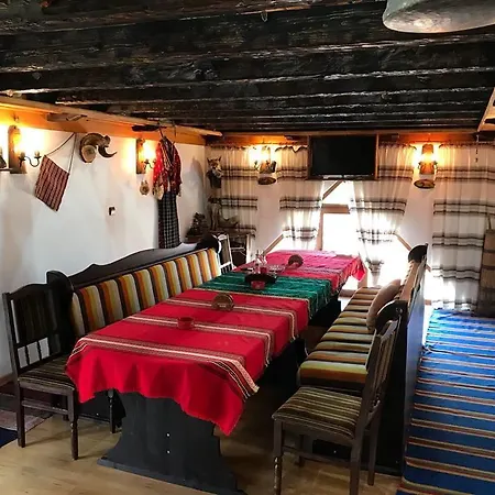 Guest Profirov