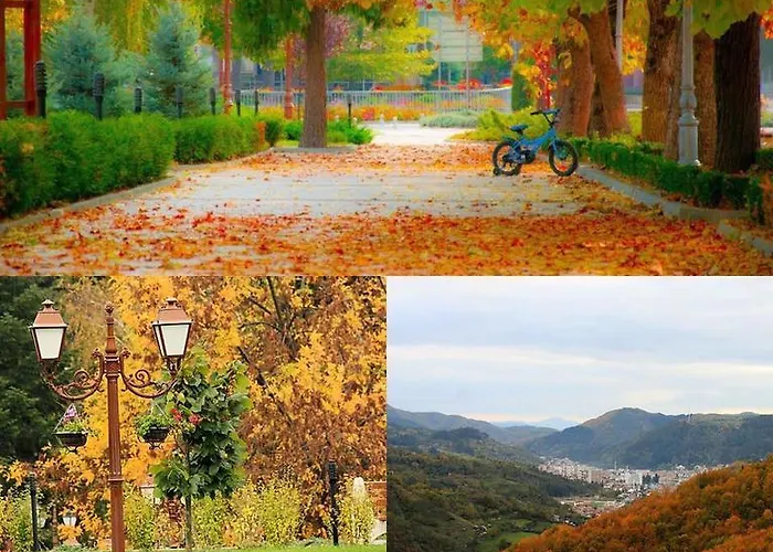 Guest Profirov Zlatograd